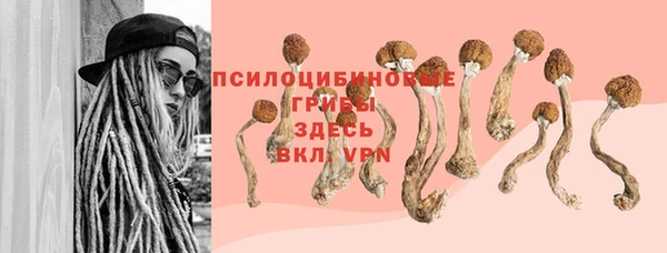 мет Абаза