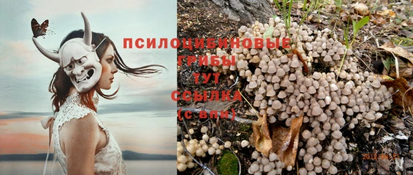 spice Абинск