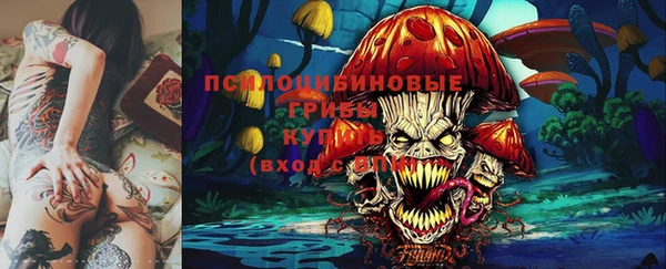 мет Абаза