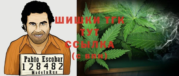 мет Абаза