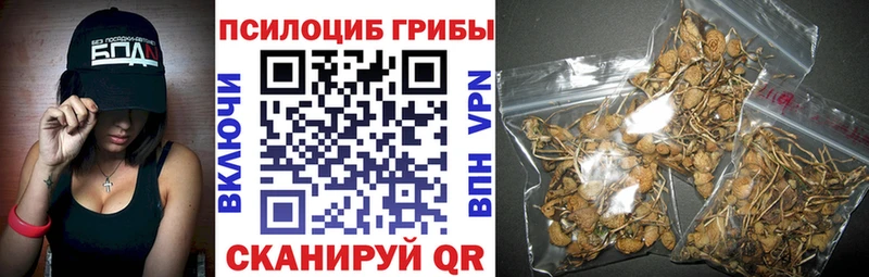 Псилоцибиновые грибы прущие грибы  гидра как войти  Канск 