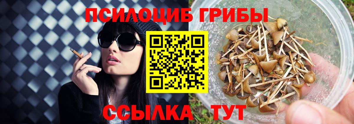Галлюциногенные грибы Cubensis  Вход с VPN  Канск 